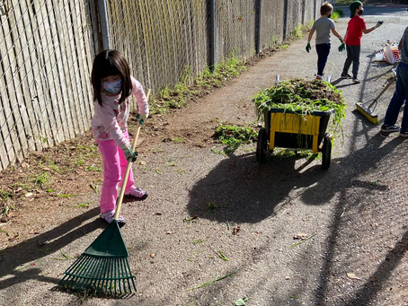 Getting Ready for Back-to-School, Garden Edition