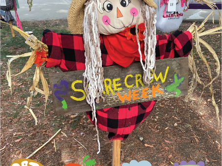 Build-your-own DIY Scarecrow
