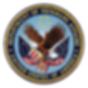 dva logo.jpeg