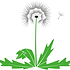logo  JANUN Hannover e.V..png
