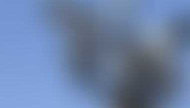 Australia- Removing Chinese-Made Security Cameras