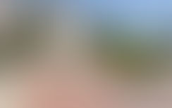 Nepotism at Stellenbosch University