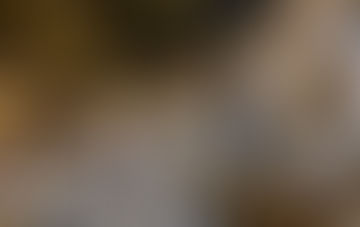 Turkey- Syria Earthquake