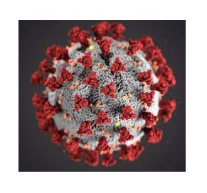 European Country giving antigen swabs