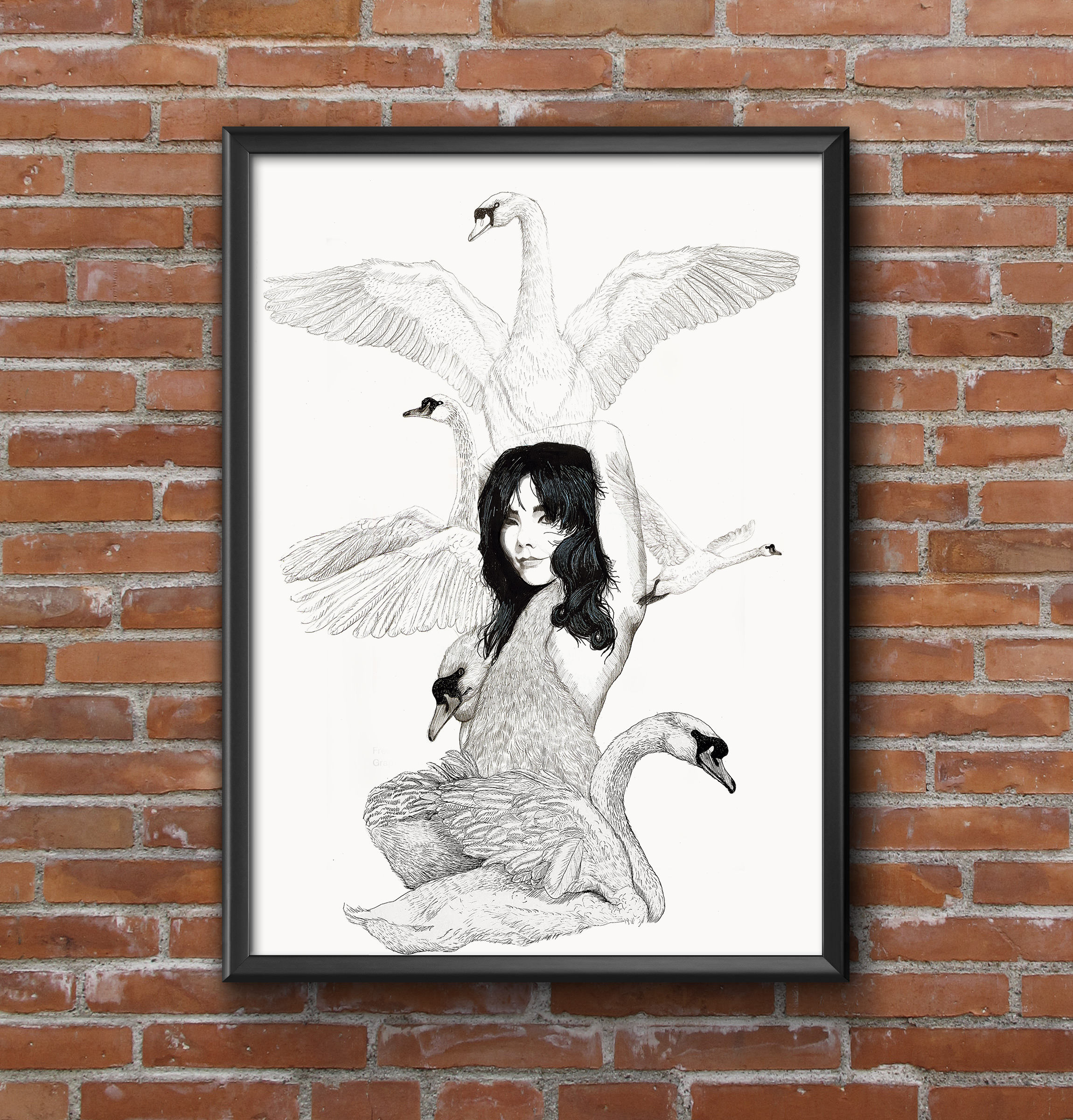 Lámina A4 BJÓRK CISNE