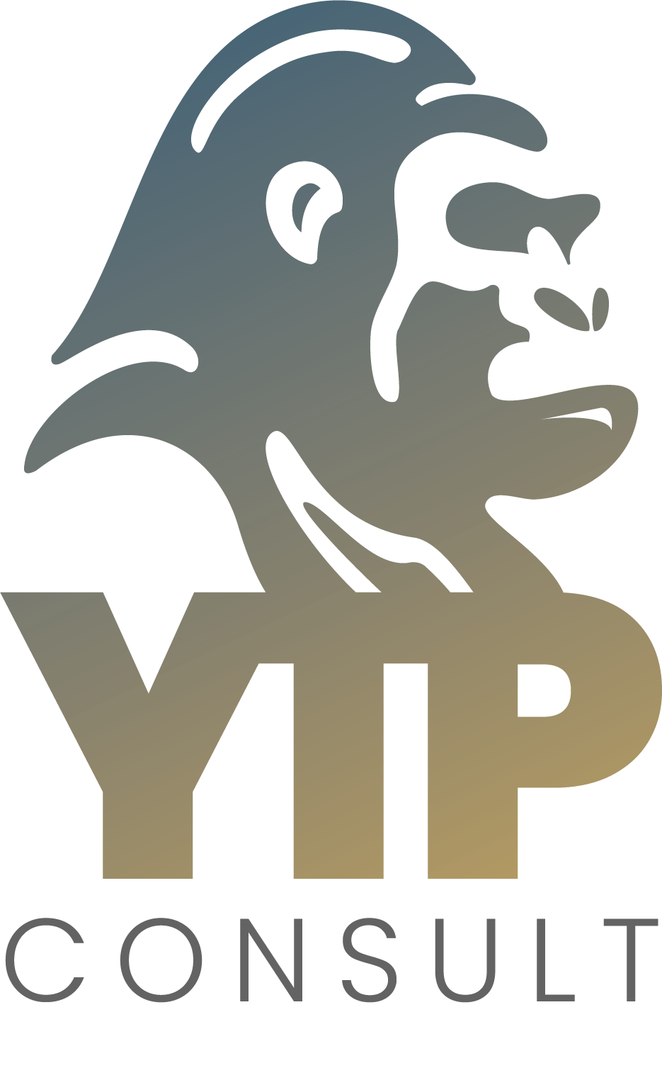 TECHNOLOGY CONSULTING SERVICES