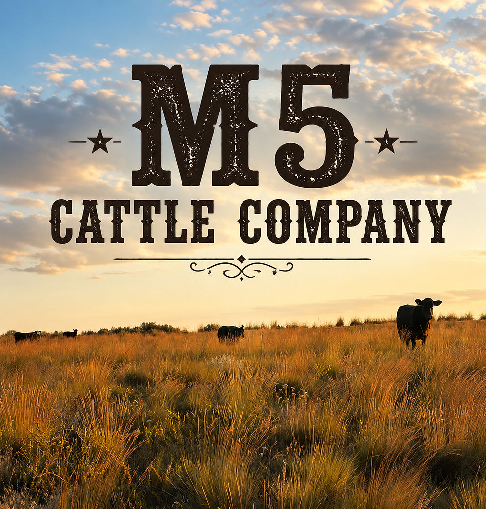 background image for website M5_edited.jpg