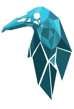Crow Skull