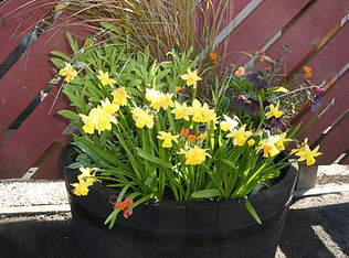Spring has sprung