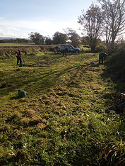 thurnham42.jpg