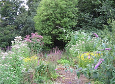 beesummer13.JPG