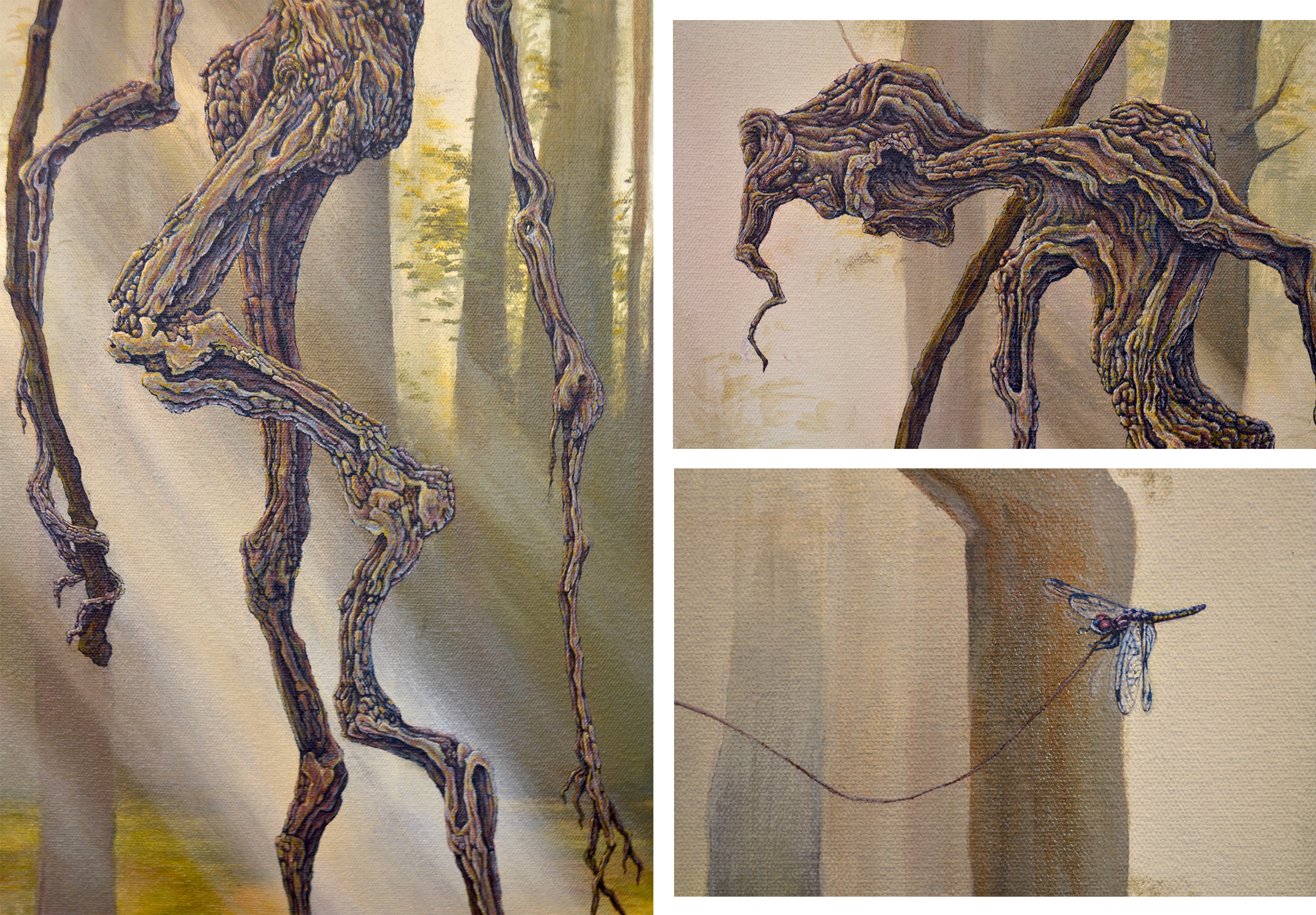 Susurrus (details)