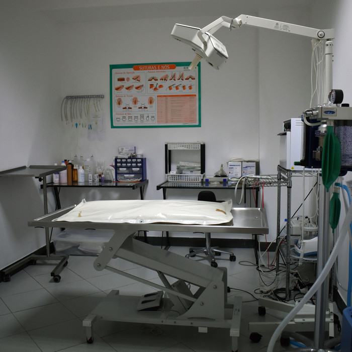 Espaço do Tantas Patas 3