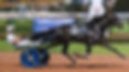 Temporal Hanover-01 supplied-temporal-hanover4-650x365