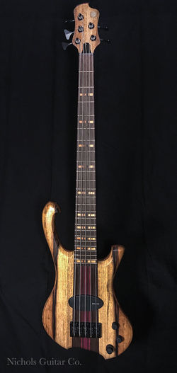NGCo Gene full frontal