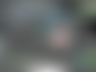 MY 2024 ATLANTIC HURRICANE SEASON BIRDSEYE VIEW POST #69