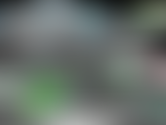 MY 2024 ATLANTIC HURRICANE SEASON BIRDSEYE VIEW POST #100