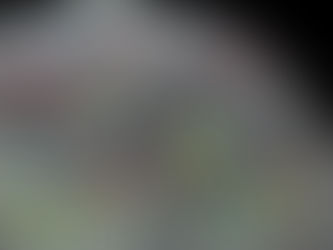 MY 2023 ATLANTIC HURRICANE SEASON BIRDSEYE VIEW POST #27F (Special Update)