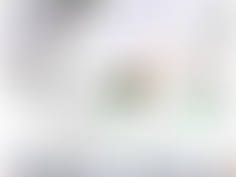 MY 2022 ATLANTIC HURRICANE SEASON BIRDSEYE VIEW POST #83