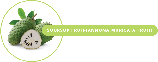 Soursop.png