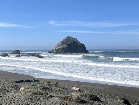 Mendocino & Manchester, CA