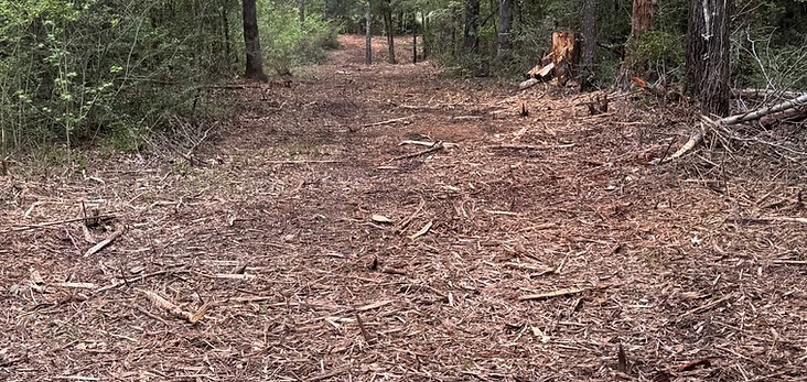 Mulching Job
