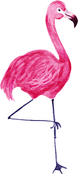 elements_web_flamingo,purplis,2.gif