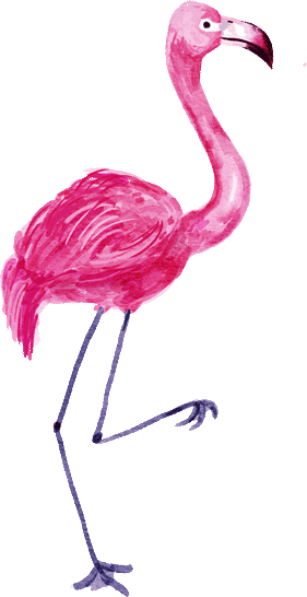 elements_web_flamingo,purplish,4.gif