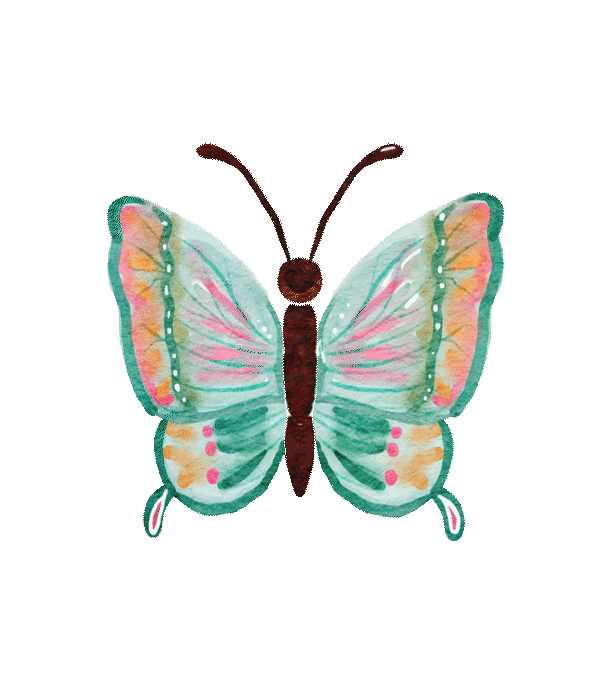 elements_web_buterfly,turqueoise(ani).gif