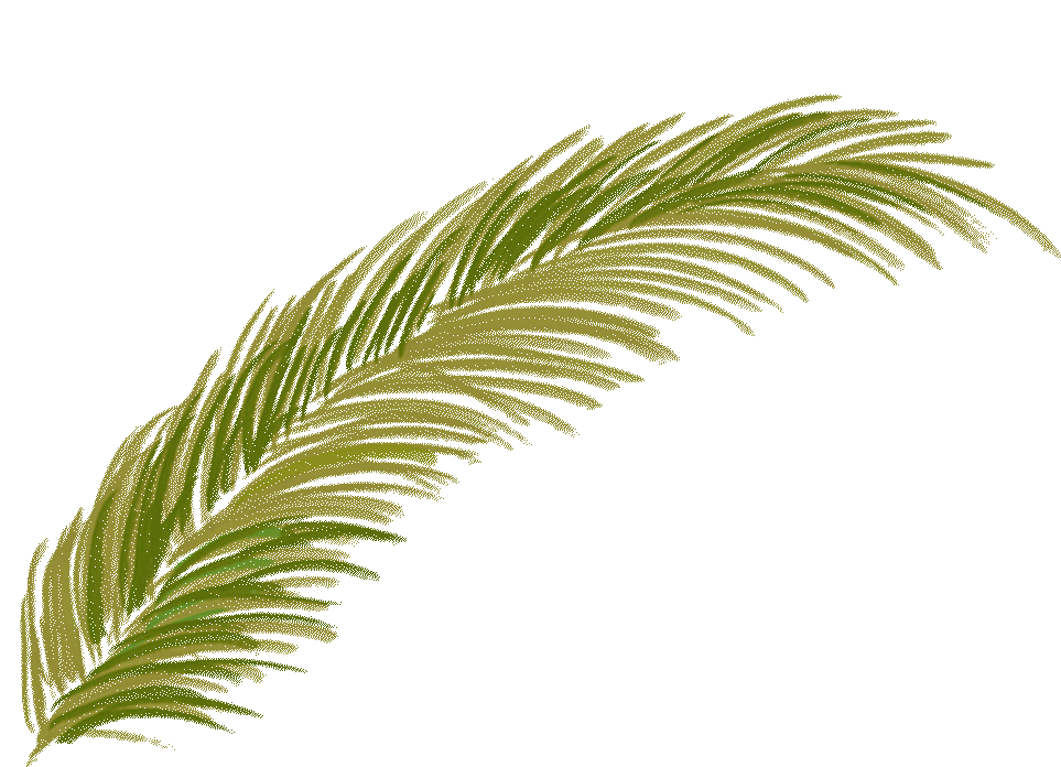 elements_web_palm(ani).gif