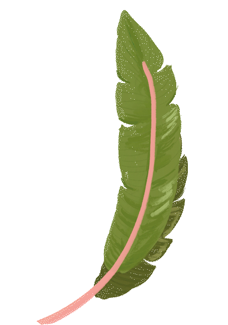 elements_web_rightpalms(ani).gif