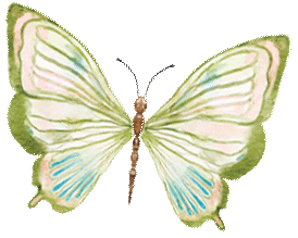 elements_web_buterfly,green(ani).gif