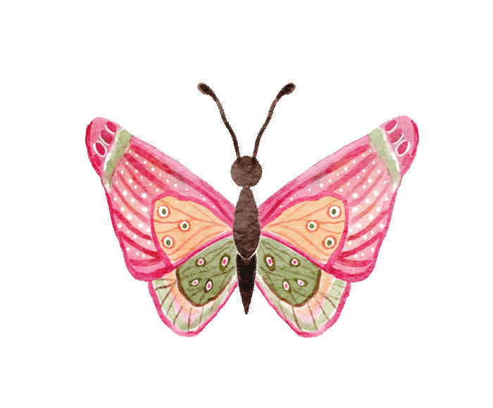 elements_web_pink,butterfly,pink,static(ani).gif
