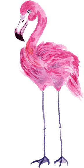 elements_web_flamingo,purplis,3.gif