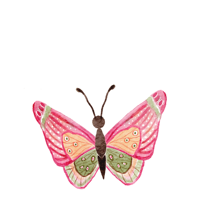 elements_web_pink,butterfly(ani).gif