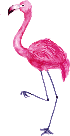 elements_web_flamingo,purplish,1.gif