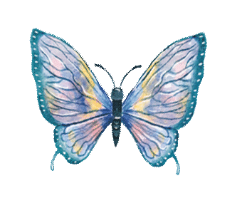 butterfly(ani).gif