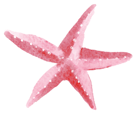 elements_web_starfish,pink(ani).gif