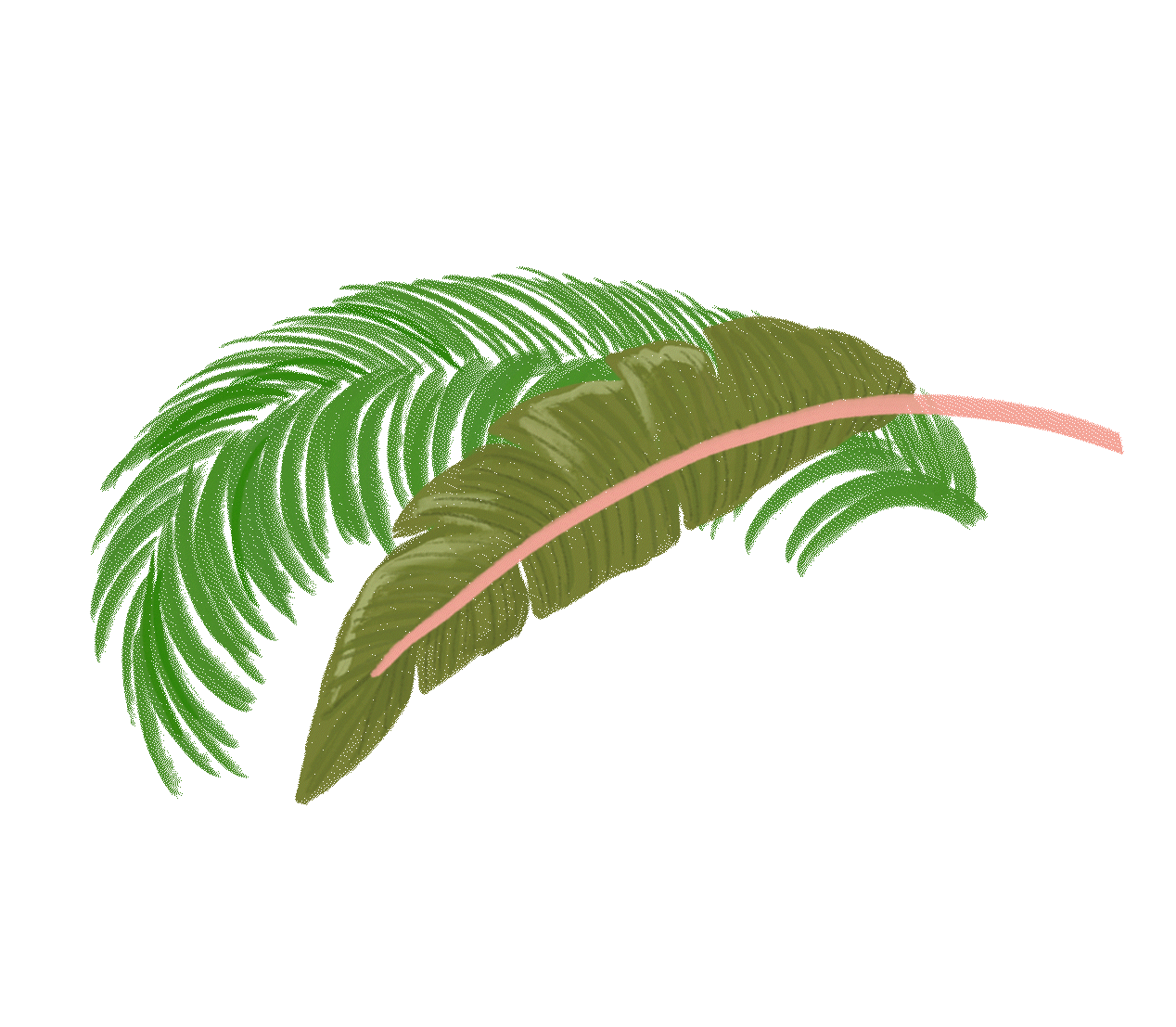 elements_web_leftpalms(ani).gif