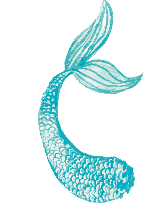 elements_web_toptail(ani).gif