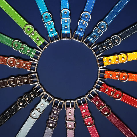 Collection of soft leather dog collars in a rainbow of colours.