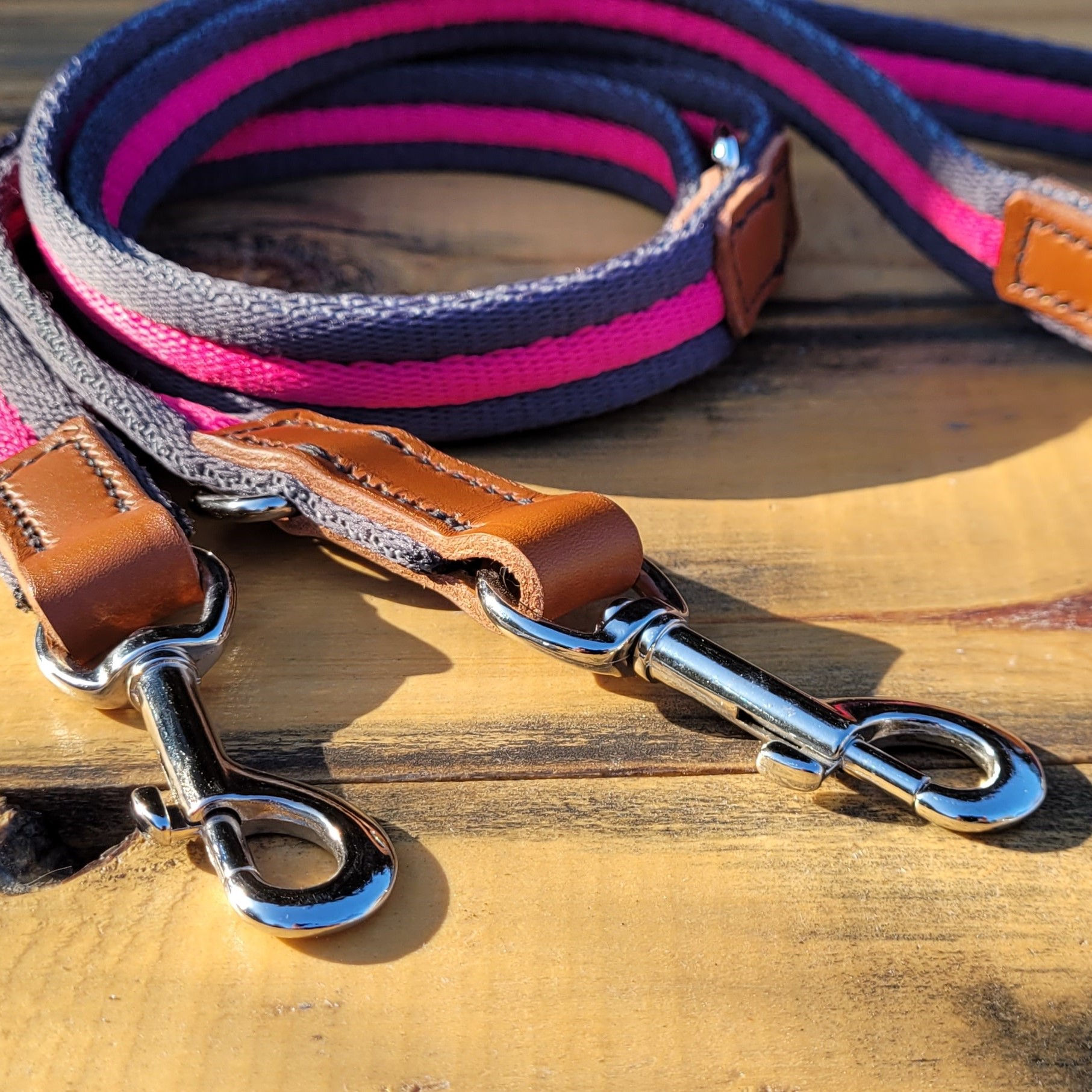 Stripy Airweb & Leather Training Leads