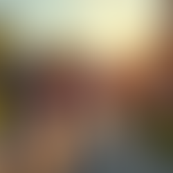 Vote Danielle Chandler: For the People of Holiday Lakes