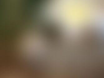 探し物はなんですか〜