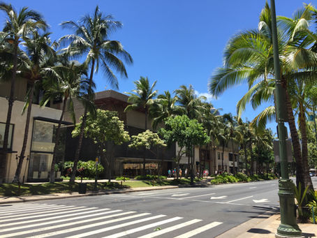 お久しぶりです!