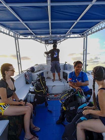 Aldora Divrs Gallery.jpg