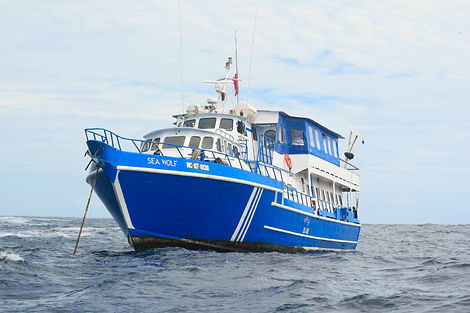 Malpelo Columbia.jpg