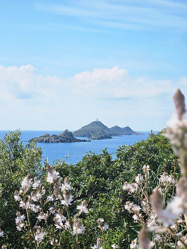 Candice Tomasi Diététicienne Nutritionniste Ajaccio Corse