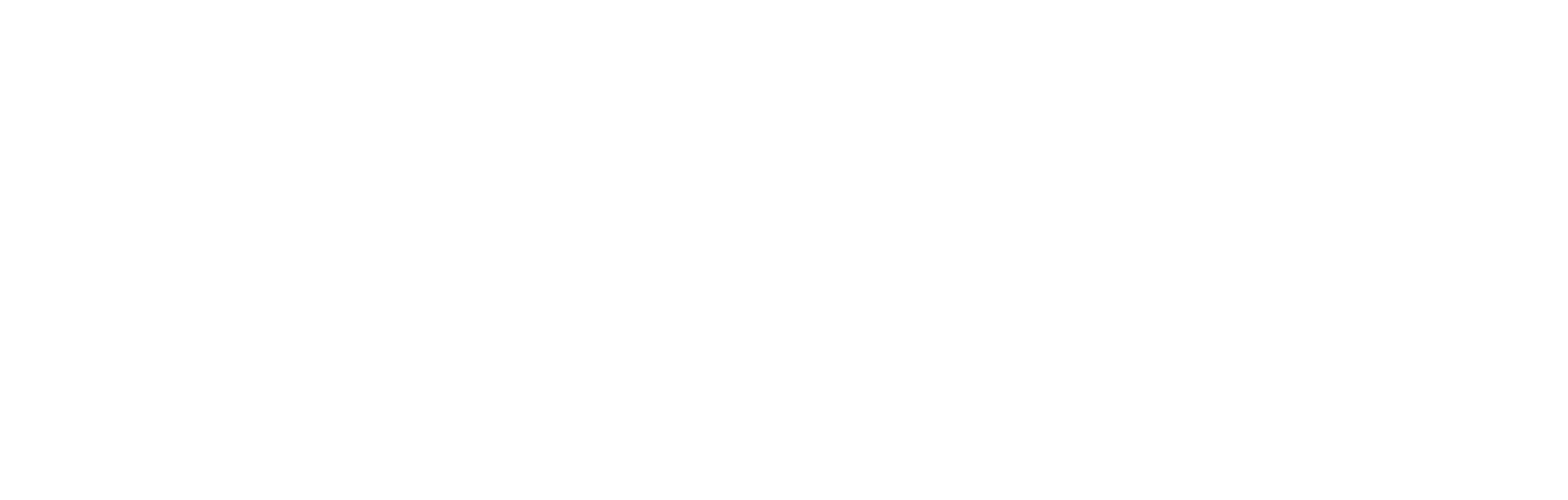 RNA Med Program White Logo.png
