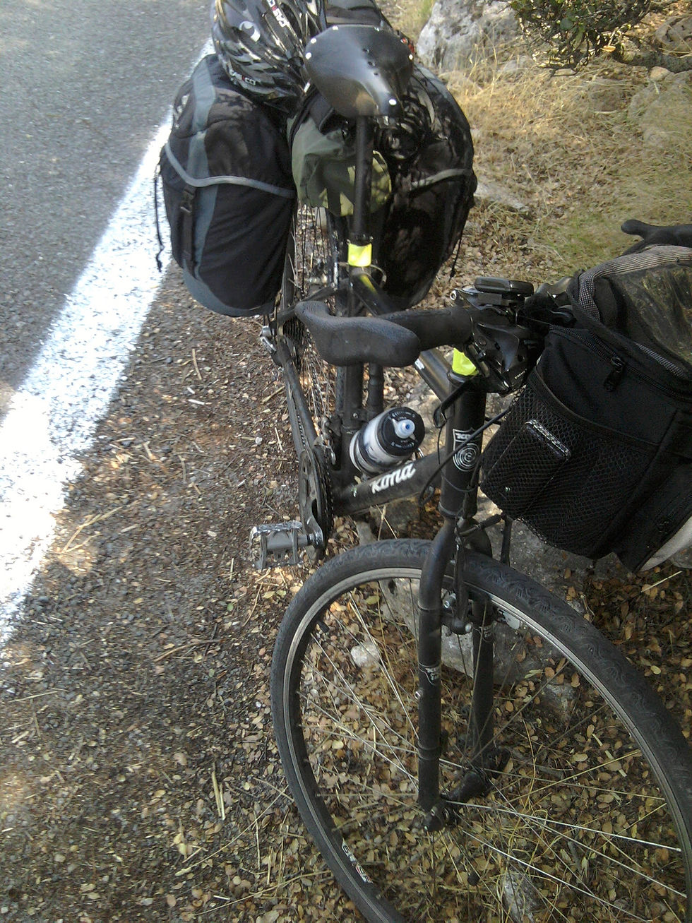 Kona at the road pave